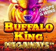 Buffalo King Megaways