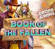 Book of the Fallen