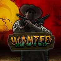 Wanted Dead or a Wild