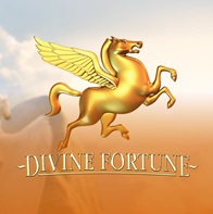 Divine Fortune